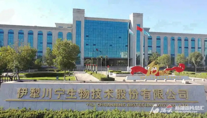 川寧生物創(chuàng)業(yè)板成功上市，引領(lǐng)生物技術(shù)研發(fā)新篇章